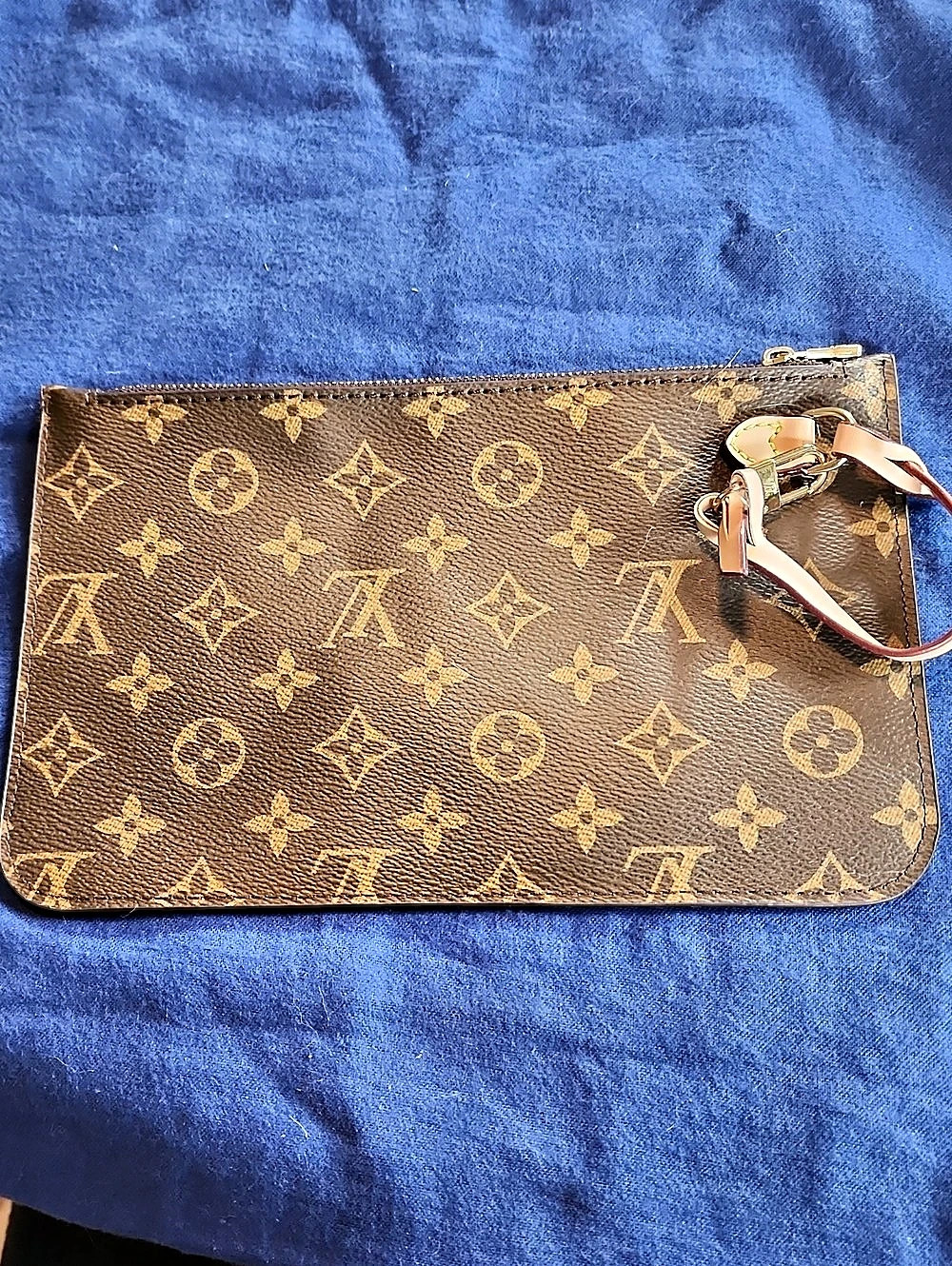 Louis Vuitton Genuine Leather Pouch in Brown & Gold - NWOT